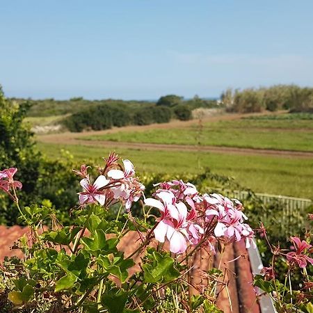 Villa Rosamarina Rosa Marina Esterno foto