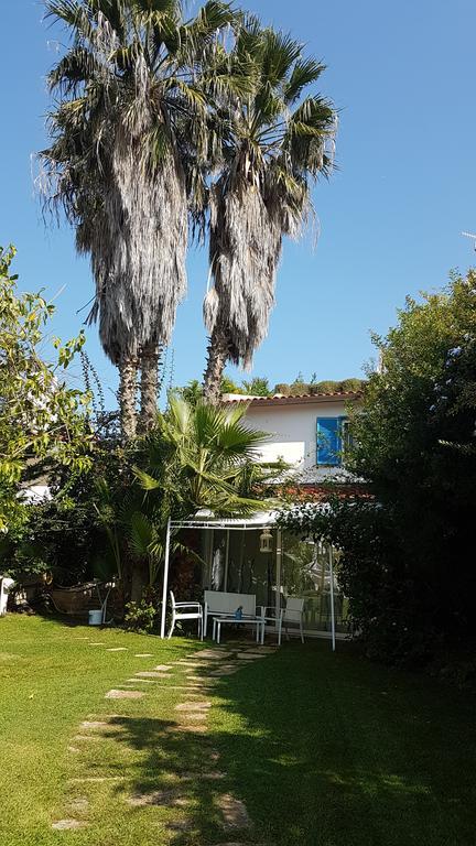 Villa Rosamarina Rosa Marina Esterno foto