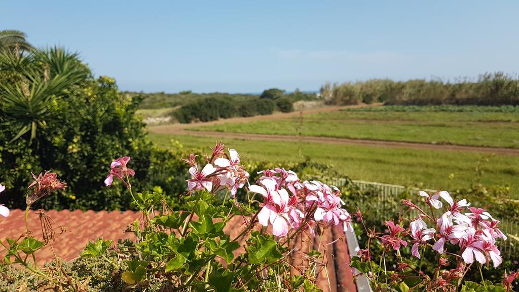 Villa Rosamarina Rosa Marina Esterno foto